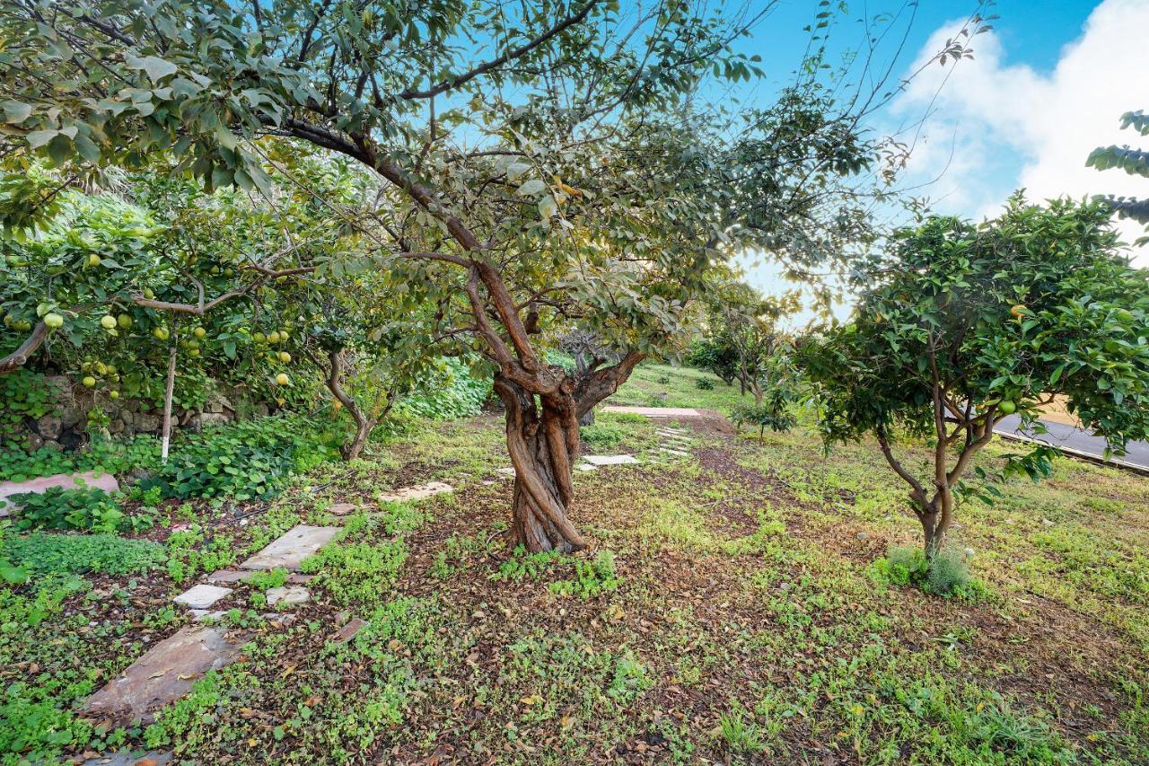 Casa La Victoria Villa La Victoria de Acentejo Buitenkant foto